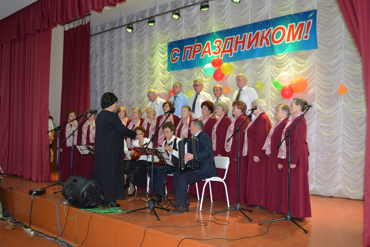 Народный хор ветеранов войны и труда (Старошайговского муниципального района)