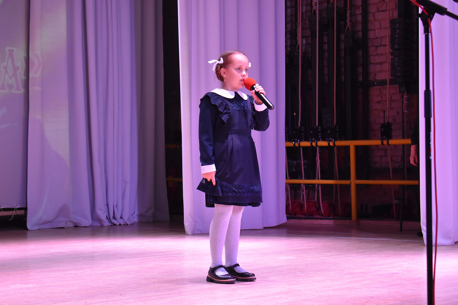 «Поэтическая лира» прозвучала в Пушкинский день в Мордовии